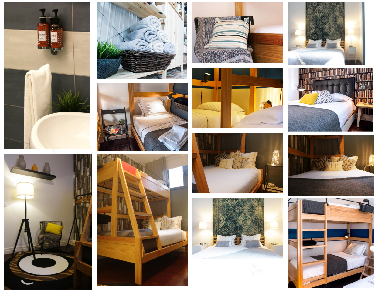 procyon_hostel.jpg