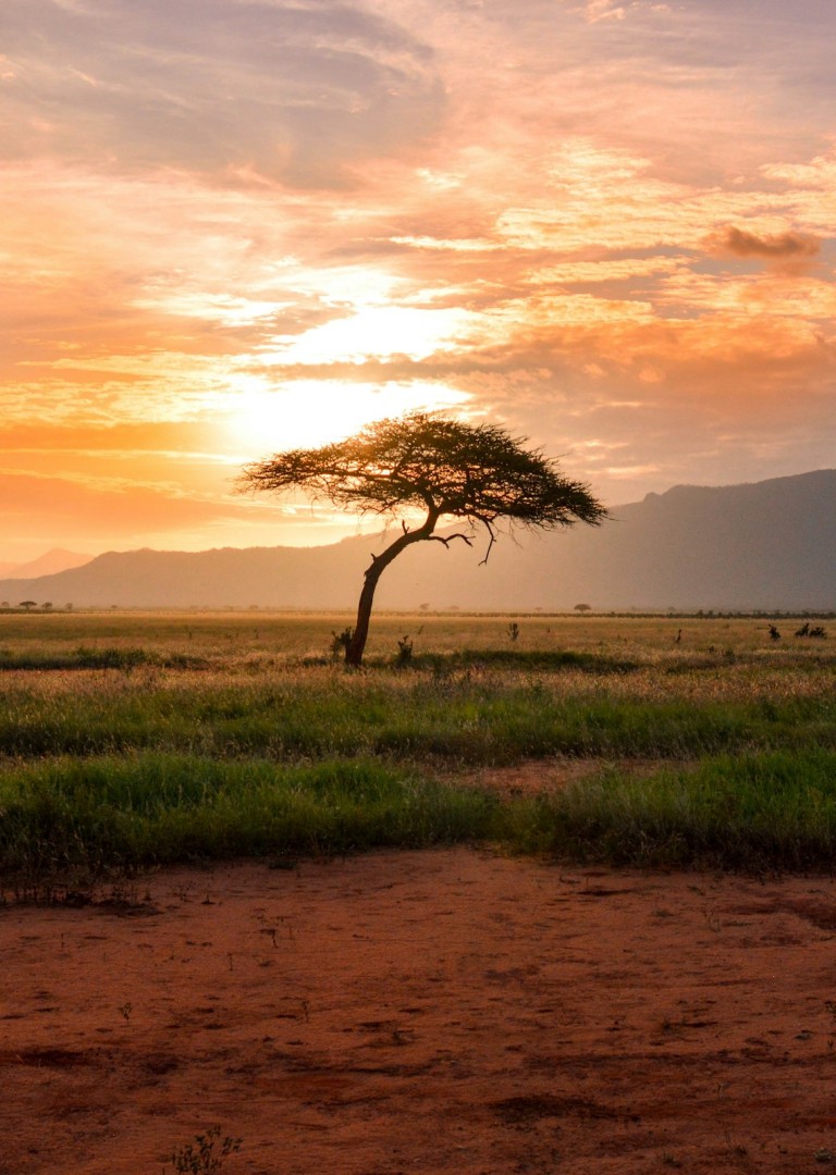 Kenya